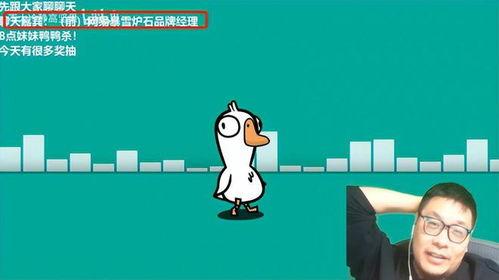 王师傅爆料暴雪视频,暴雪视频背后的惊人真相