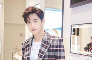 杨洋前女友爆料视频大全,揭秘明星感情纠葛背后的真相