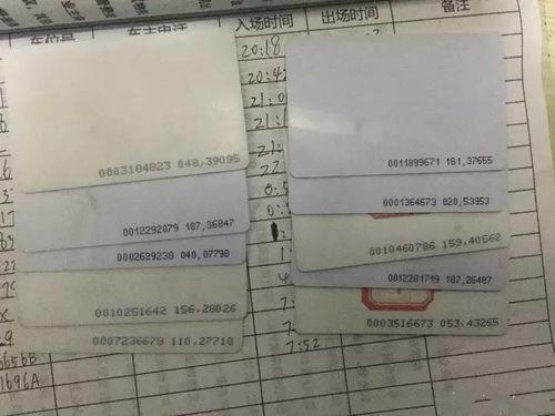 宁南最新事件爆料信息网,揭秘真相，追踪热点动态